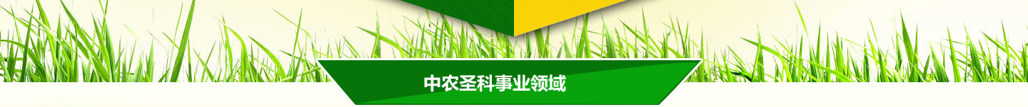 我校參加全區(qū)學(xué)校國(guó)旗護(hù)衛(wèi)隊(duì)交流展示活動(dòng)并榮獲團(tuán)體三等獎(jiǎng)